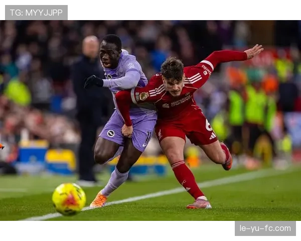 布莱顿掀起英超新风暴：激情战术引领足球新潮流